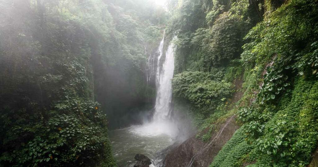 Der Amazonas-Regenwald in Brasilien produziert den Großteil des Sauerstoffes, den wir weltweit einatmen.