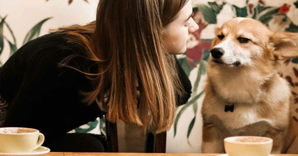 Hundecafés in Südkoreas laden dich ein, mit den Vierbeinern zu schmusen, zu spielen und zu kuscheln. Die Tiere sind Menschen gewöhnt und wenn sie keine Lust mehr haben, ziehen sie sich zurück.