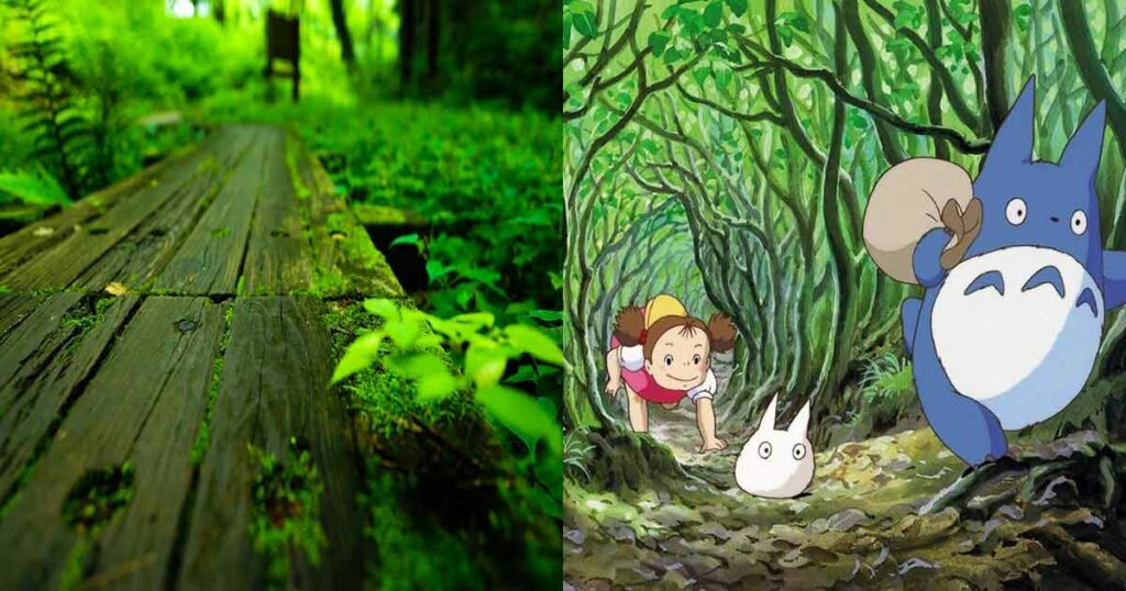 Der Wald im Anime "Mein Nachbar Totoro" zeichnet sich durch seine schöne Natur aus. Die Vorlage steht ihm in nichts nach.